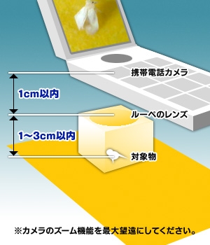 高倍率モニタリングルーペの活用例図