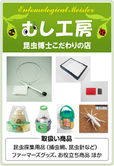 むし工房