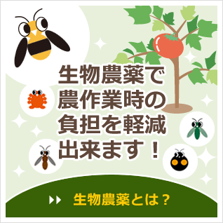 生物農法で農作業時の負担を軽減出来ます　生物農薬とは？