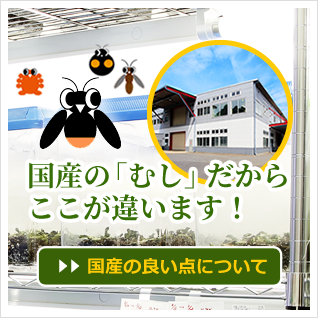 国内生産の「むし」だからここが違います